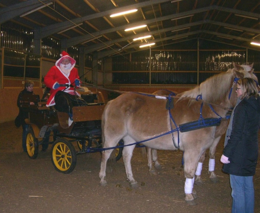 weihnachtsreiten-41